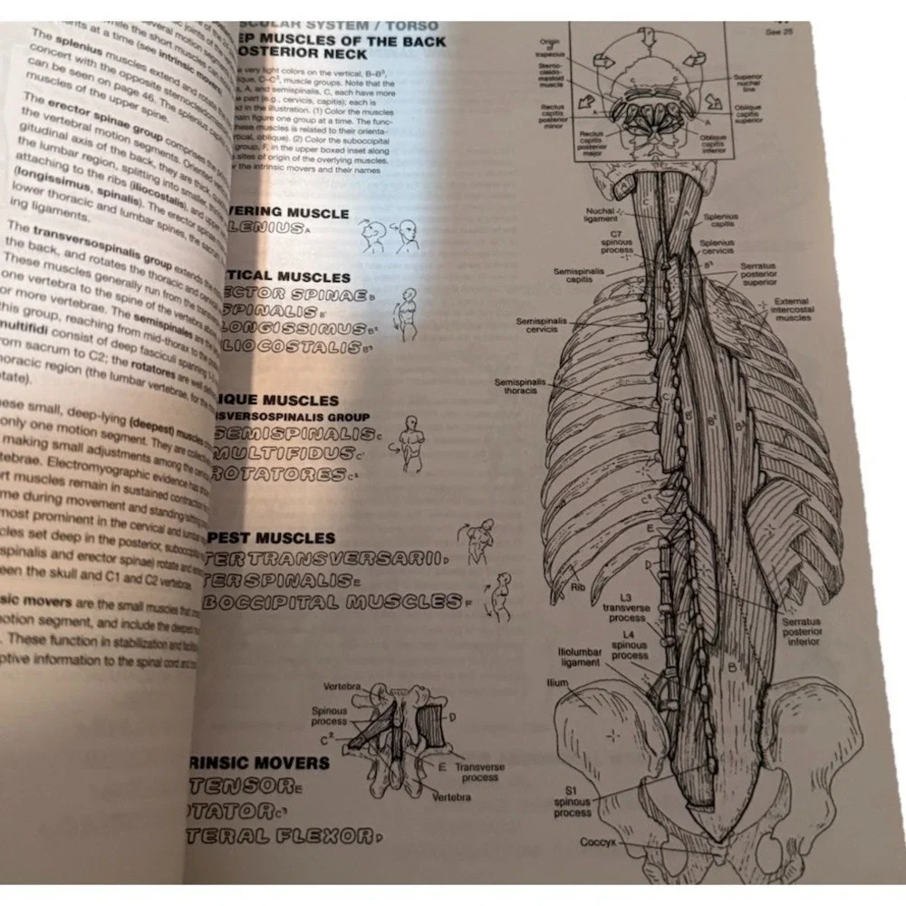 Anatomy Coloring Book by Wynn Kapit and Lawrence Elson 4th Edition